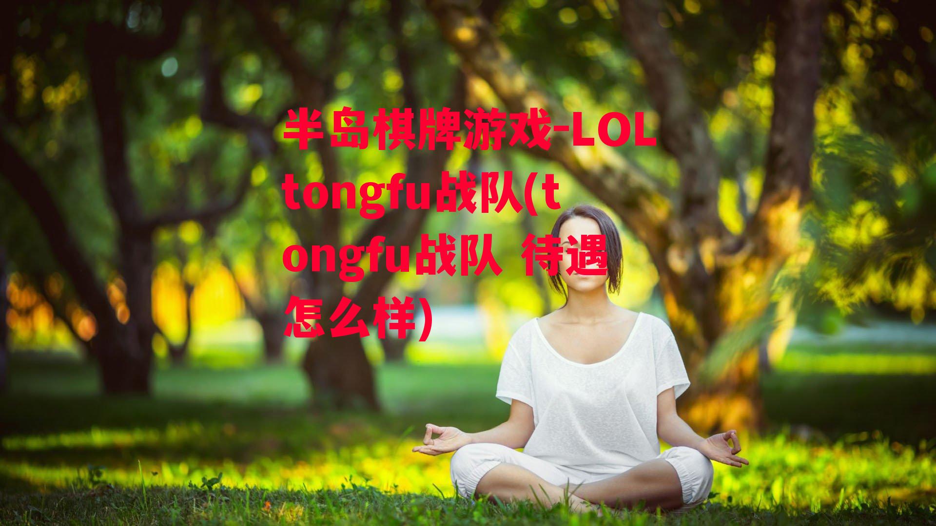 LOLtongfu战队(tongfu战队 待遇怎么样)