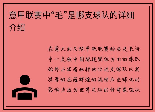 意甲联赛中“毛”是哪支球队的详细介绍